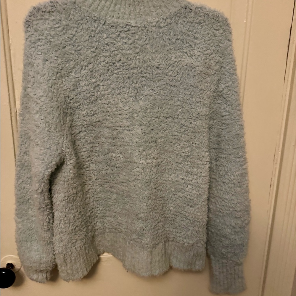 Jcrew Cozy Plush Women's Sweater in Light Blue